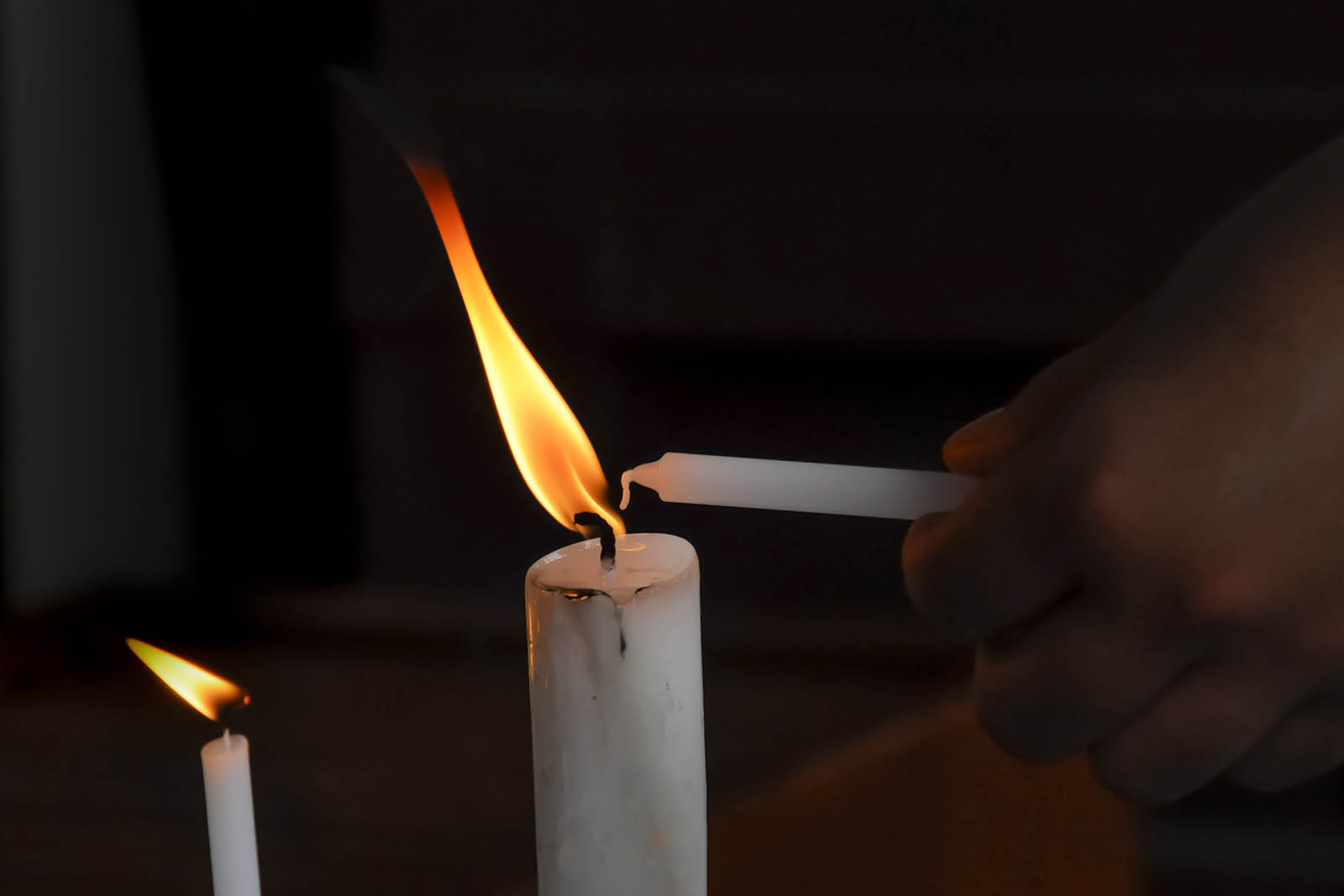 Life Threads Ceremonies | Honouring transitions with Funeral Celebrant, Abegael Fisher-Lang