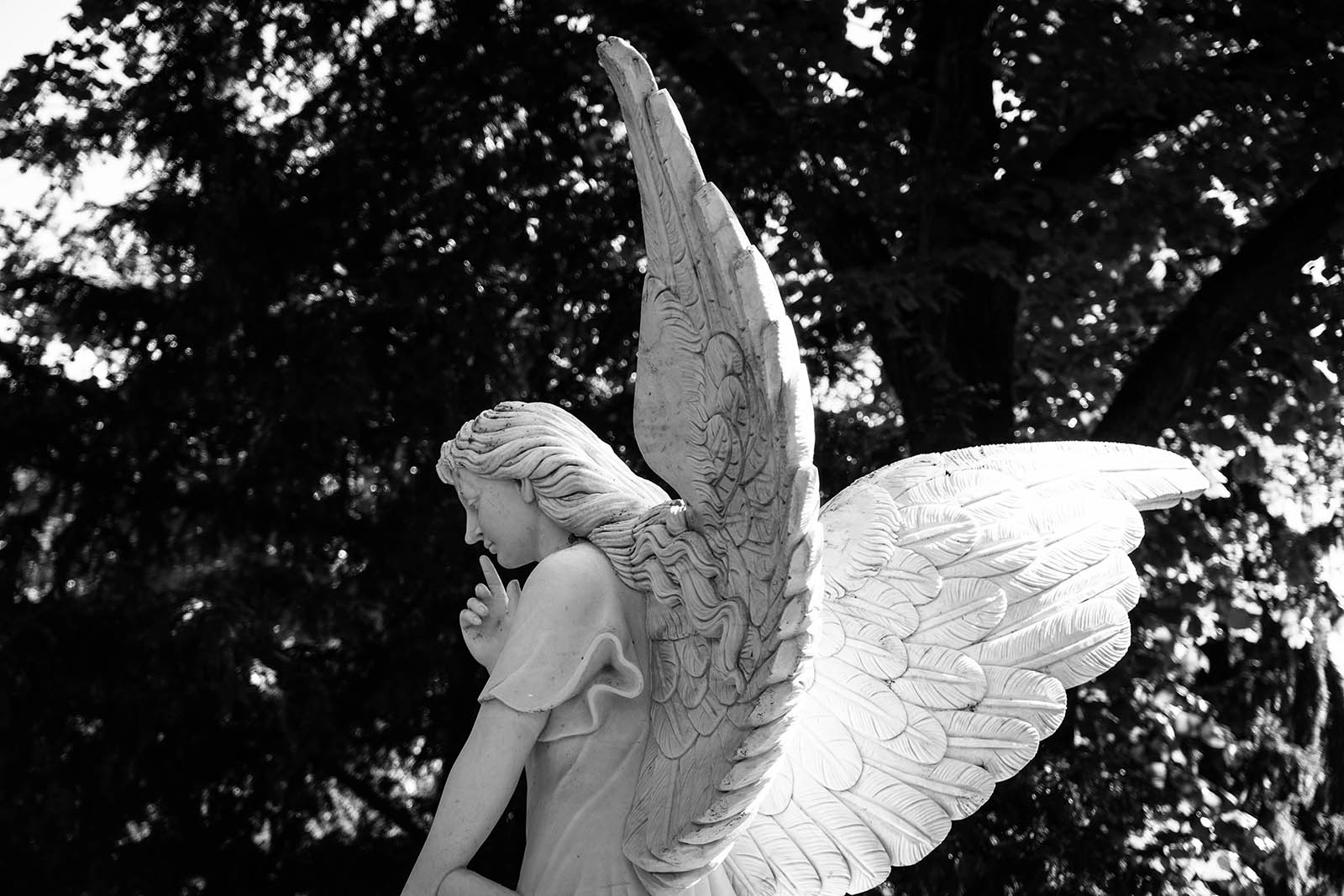 Life Threads Ceremonies | Honouring transitions with Vancouver Death Doula and Funeral Celebrant, Abegael Fisher-Lang